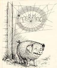 web
